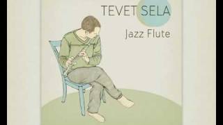 Jazz Flute Album sampler  TEVET SELA [upl. by Salbu]