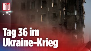 🔴 UKRAINEKRIEG Alle aktuellen News – 31032022  BILD Live [upl. by Ainirtac536]