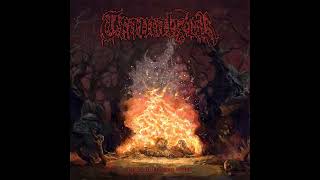 Finnish Death Metal 2023 Full Album quotTRAMALIZERquot  Fumes of Funeral Pyres [upl. by Moorish]