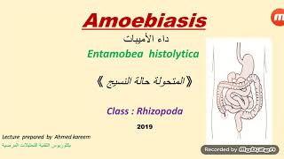 Amoebiasis  داء الأميبات [upl. by Christie]