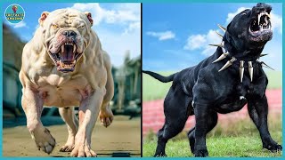 10 Most Powerful and Dangerous Dog Breeds in the World Top Facts Amazing [upl. by Loats]