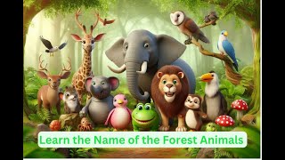 Forest Friends Adventure Meet the Animals [upl. by Kablesh]