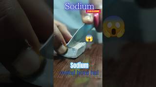 Satisfying Sodium Slice ✂️✨Watch This Metal Cut Like ButterScienceShorts learningscience explore [upl. by Noiramaj]