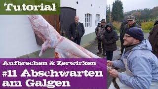 11 Abschwarten am Galgen  Schwarzwild  Lehrgang Aufbrechen amp Zerwirken [upl. by Carrie]