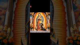 Oración a la Virgen Maria para que te proteja [upl. by Tenahs]