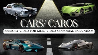 Luxury Cars Sensory Video For Kids  4K [upl. by Mharba882]