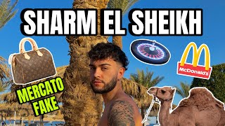 VLOG A SHARM EL SHEIKH  MERCATINI FAKE CASINÓ E BELLISIMI PAESAGGI [upl. by Linder253]