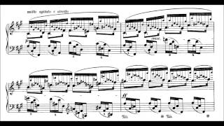 Chopin 24 Preludes Op28 Blechacz [upl. by Aihsenal608]