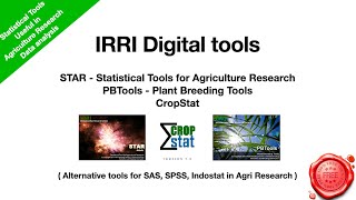 STAR PBTools CropStat  Best alternatives to Indostat SAS SPSS Agricultural statistical tools [upl. by Joelle]