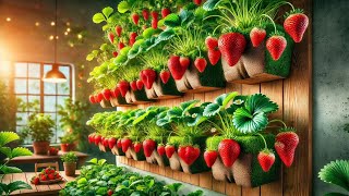 quotGrow Strawberries at Home Without a Garden – Easy amp Abundant Harvestquot [upl. by Melicent997]