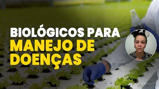 COMO UTILIZAR BIOLÓGICOS PARA O CONTROLE DE DOENÇAS [upl. by Maxine]