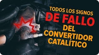 Cómo comprobar un convertidor catalítico  Consejos de AUTODOC [upl. by Nnayram]