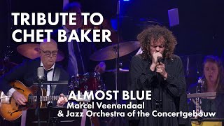 Almost Blue by Marcel Veenendaal amp Jazz Orchestra of the Concertgebouw Tribute to Chet Baker [upl. by Edak]