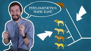 Clint Explains Phylogenetics  There are a million wrong ways to read a phylogenetic tree [upl. by Ina871]