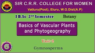 6 BSc 12  Basics of Vascular Plants amp Phytogeography  Unit 2 Gymnosperms [upl. by Avehs]