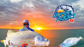 How to Catch Barramundi in Northern AustraliaClearwater Livebait Kimberley Region [upl. by Anotal787]