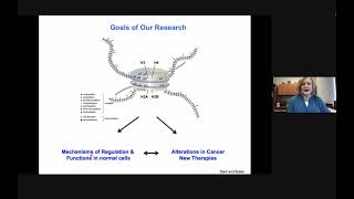 2021 10 21 HISTONE MODIFYING ENZYMES IN CANCER LESSONS FROM THE SAGA COMPLEX [upl. by Rojam652]