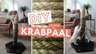 DIY KRABPAAL  Zo maak je zelf een krabpaal voor in een stylish interieur [upl. by Hniv]