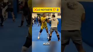 LA PEGADA DE ALEX ES BRUTAL🥊 kickboxing mma peleadebox ufc kickboxer striking sparring box [upl. by Kaya]