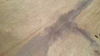 Resurfacing a plywood deck using Restore 3rd Segment Crack and Seam Fill [upl. by Hyatt]