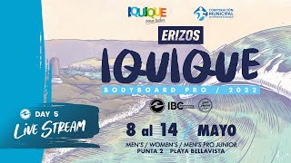 Erizos Iquique Bodyboard Pro 2022  Day 5  Livestream [upl. by Gierc752]