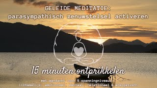 Geleide meditatie 15 minuten ontprikkelen parasympathische zenuwstelsel activeren [upl. by Nilyad841]