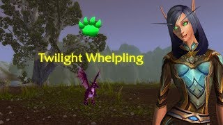 Collecting a Twilight Whelpling [upl. by Ennayrb]