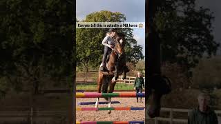 Jumping my first 140 horse 🙈 [upl. by Mathilde]