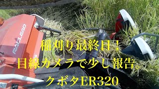 稲刈り最終日！目線カメラで少し実況。色々と課題が浮かび上がってきました！たんげめ池チャンの自然栽培米奮闘記2023 米作り 自然栽培米 コンバイン ER320 [upl. by Madelaine678]