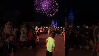 Disney World Magic Kingdom Fireworks [upl. by Ativ169]