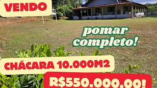 187 CHÁCARA 10000M2 COM POMAR REPLETO DE FRUTAS  IBIÚNASP R 55000000 [upl. by Aisatnaf]