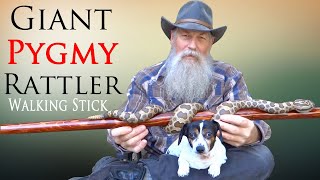 Carving a Massasauga Rattlesnake Walking Stick [upl. by Uv]