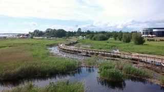 Estonia Parnu rannaniidu hiking trail [upl. by Itnahs731]