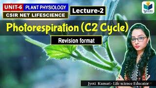 C2 CYCLE PART2  PHOTORESPIRATION  CSIR NET REVISION [upl. by Eustazio]