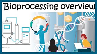 Bioprocessing overview Upstream and downstream process [upl. by Ty139]