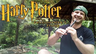 Harry Potter  Hedwigs Theme  Tin Whistle Tutorial  Tabs [upl. by Allimak245]