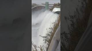 Mother 2 children dead in Niagara Falls shorts shortsvideo [upl. by Audre508]