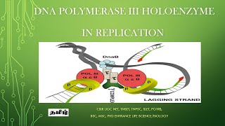 DNA Polymerase iii holoenzyme in replication Tamil CSIR NET TNSET GATE  PGTRB ug  Pg [upl. by Elise]