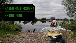 BADEN HALL FISHERY  BRIDGE POOL  CARP FISHING  AUTUMN 2024 [upl. by Pratte]