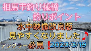 相馬市釣り桟橋釣りポイント水中映像❗その他、通路、松川浦大橋航路、釣り人必見❗ [upl. by Haidabez652]