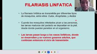 FILARIASIS ONCOCERCOSIS Y LOASIS [upl. by Olotrab291]