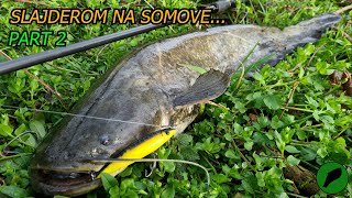 đźź Poludeli SOMOVI 2DEO đźź Pecanje quotBOCE Slajderimaquot [upl. by Halden]