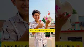 sare kabutar pe colour kar diya 😍 minivlog vlogs [upl. by Yarb]