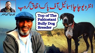 Top Class Bully Dog Lover  Interview Chacha Ismail  Top of Pakistan Bully Dog Breed By Nafa TV HD [upl. by Bechler]