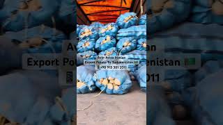 Export Potato To Turkmenistan export potato cis logistics fruit importexport international [upl. by Ikram]