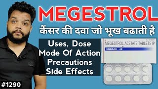 Megestrol Acetate UsesPrecautionsSide Effects  Medicine For Appetite Stimulate [upl. by Holbrooke62]