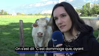 REPORTAGE quotOh la vache elle a 6 pattes quot [upl. by Jasun16]