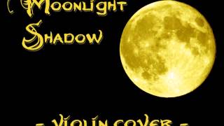 Moonlight Shadow  violin cover [upl. by Deer]