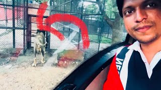 Nehru Zoological Park  Hyderabad Zoo Vlog  AmairShorts [upl. by Ueih]