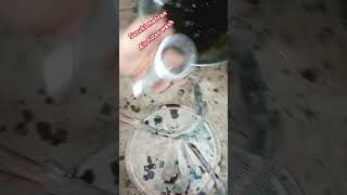 Suzuki mahran air filter wash youtube youtube youtube youtube youtube [upl. by Bianchi]